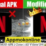 Netflix Mod